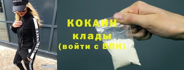 сатива Новозыбков