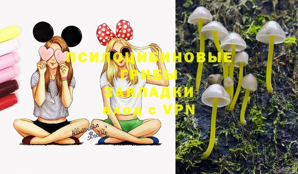 spice Волосово