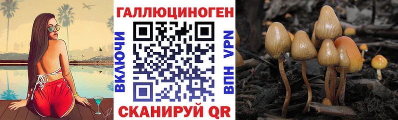 Галлюциногенные грибы GOLDEN TEACHER  Вуктыл 